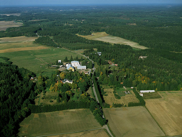 En allé leder genom odlingsmarkerna till Svidja slott. Hannu Vallas 1997
