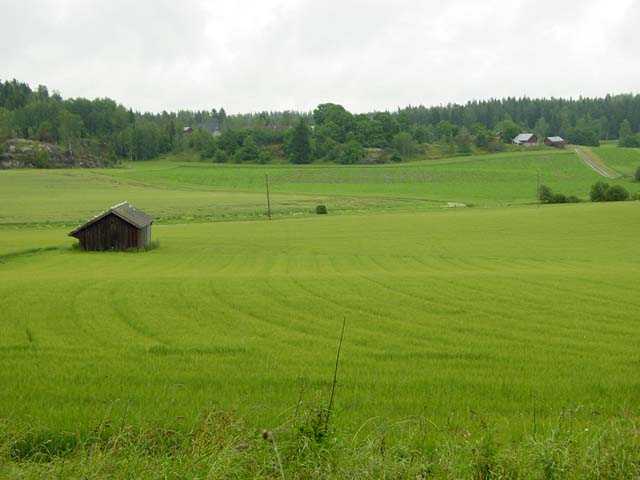 Gösbackavikens odlingslandskap. Mikko Härö 2007