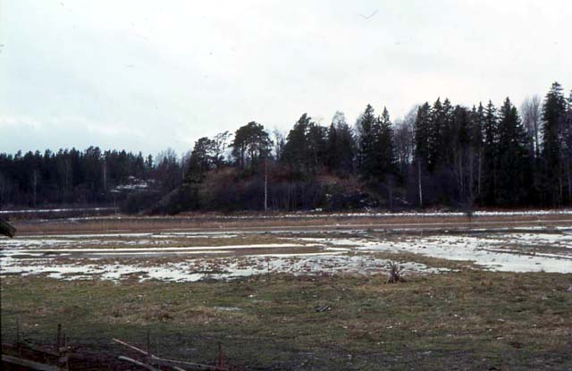 Den medeltida borgön Sibbesborg nära mynningen av Sibbo å Elias Härö 1972