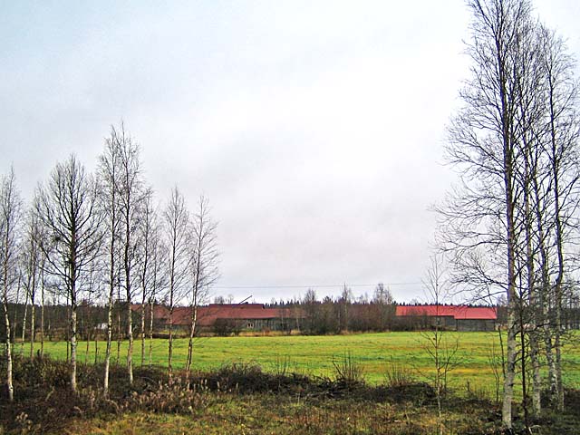 Nuupasjärven entisen kruununmetsätorpan pihapiiri. Johanna Forsius 2007