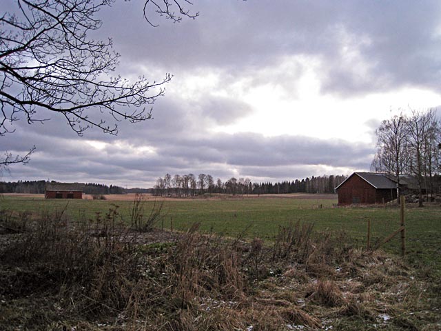 Jordbrukslandskap vid Viks undervisnings- och försöksgård. Hilkka Högström 2008