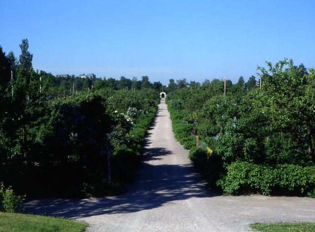 Utsikt över Gumtäkts koloniträdgård. Soile Tirilä 1999