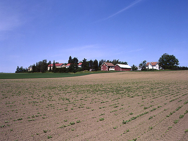 Ruotsalan tiivis ryhmäkylä on viljelysten ympäröimä. Soile Tirilä 2000