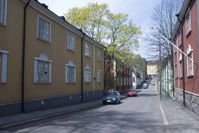 Gatuvy i Trä-Vallgård. Lea Heikkinen 2007