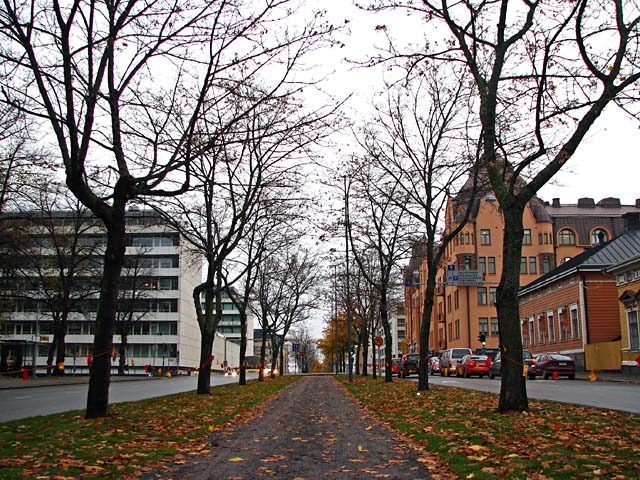 Vasaesplanaden. Timo-Pekka Heima 2007