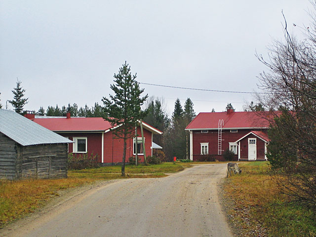 Putkivaaran kylää. Johanna Forsius 2007