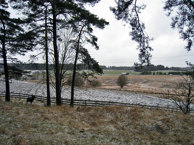 Kurala by, landskap med gravfält från järnåldern. Hilkka Högström 2008